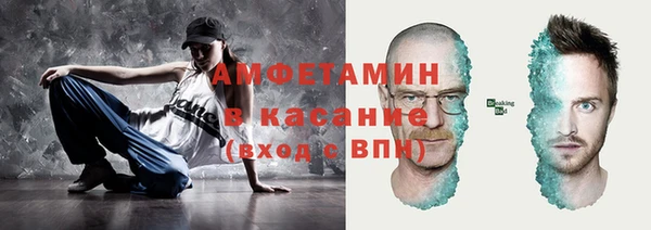 шишки Верхний Тагил