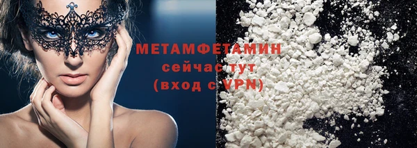 шишки Верхний Тагил
