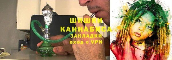 шишки Верхний Тагил