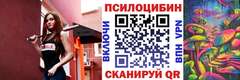 цена   MEGA зеркало  Галлюциногенные грибы Cubensis  Северобайкальск 